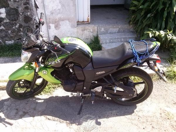 FZ Negro con verde -13