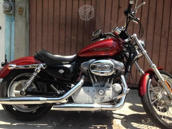 Harley davidson sportster custom xl 883cc -09