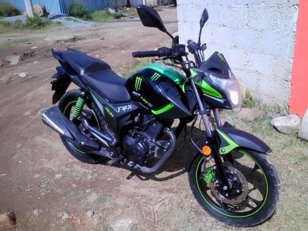 Bonita Italika Z -14