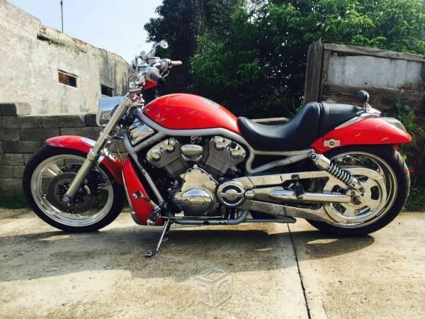 Harley v-rod 1200 -02