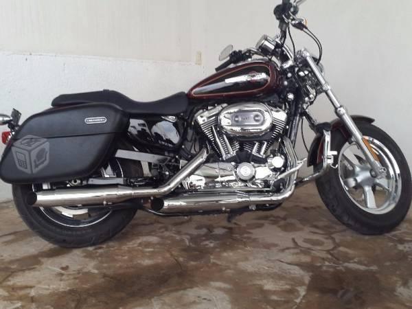 Harley-Custom 1200- Como nueva, equipada -15