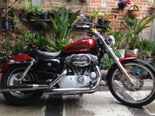 Harley d sportster custom xl 883cc -09