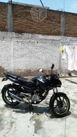 Pulsar 135 -12