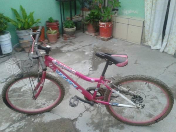 Bicicleta rodado 24 -14