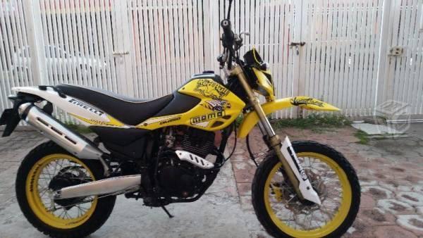 Motocicleta doble propósito dm 150 -14