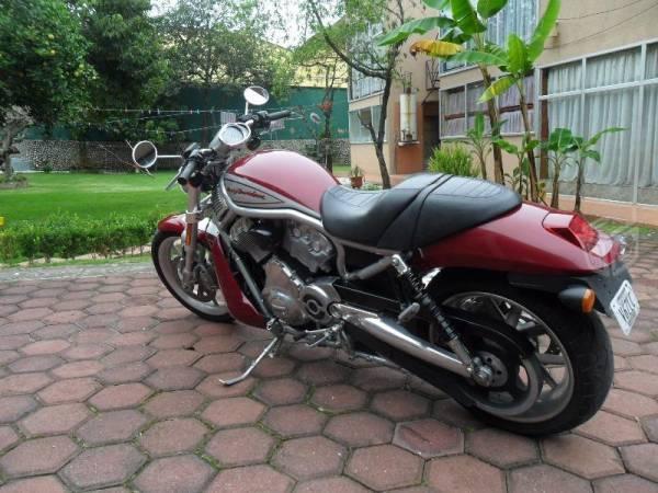 harley davidson v rod solo efectivo -06