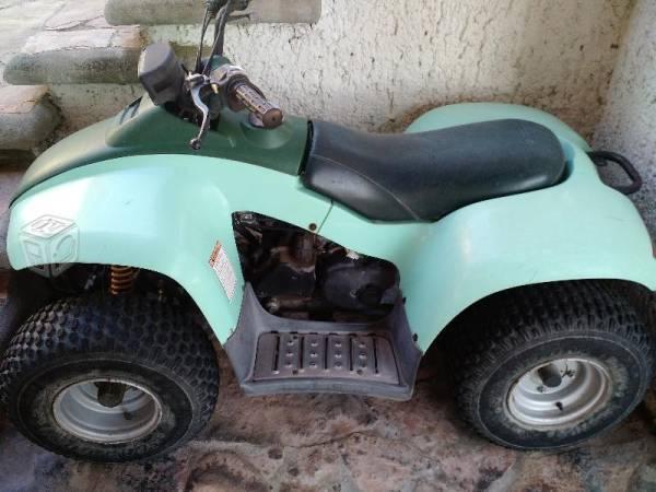 Cuatrimoto E-Ton DXL 90cc -01