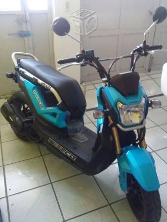 Honda zoomer-x -16