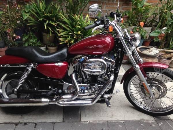 sportster custom xl 1200cc -04