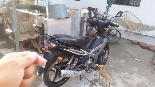 YAMAHA CRYPTON cc110