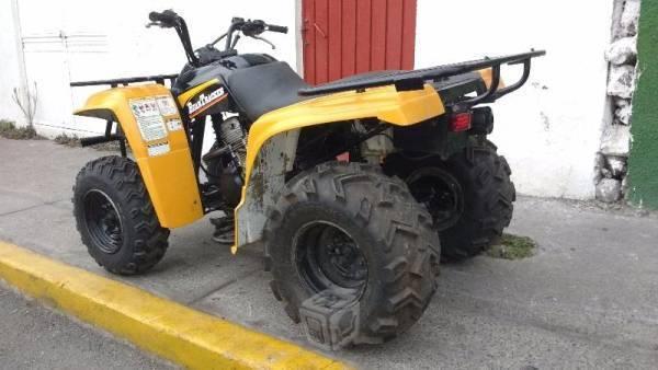 Cuatrimoto yamaha bear tracker raizer -01