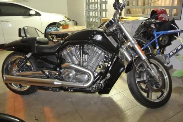 Harley Davidson Vrod muscle -13