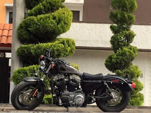 Harley davidson sportster forty eight 1200cc -15